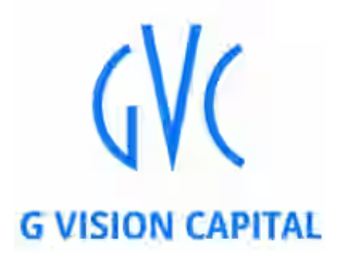 G Vision Capital